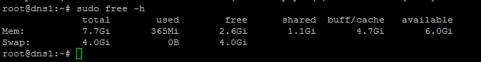 dns2