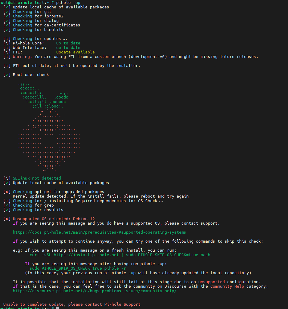 Possible minor issues and comments - Beta 6.0 - Pi-hole Userspace