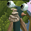 kecsong