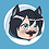 Robin_De_Wolf