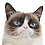 TheGCat